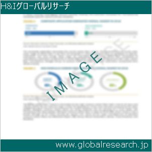 グローバルリサーチ調査レポートのイメージ